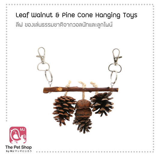 Leaf - Walnut and Pine Cone Hanging Toys ของเล่นธรรมชาติจากวอลนัทและลูกไพน์