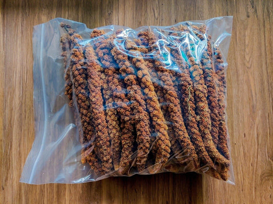 Red Millet Spray มิลเล็ตแดง