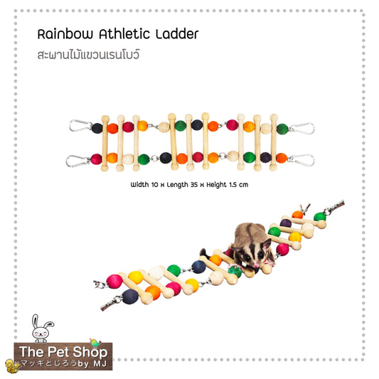 Rainbow - Athletic Ladder สะพานไม้แขวนเรนโบว์