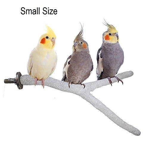 CLASSICA Perch for Bird คอนคละสี